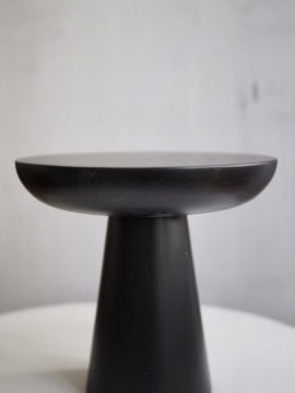 MUSHROOM 4